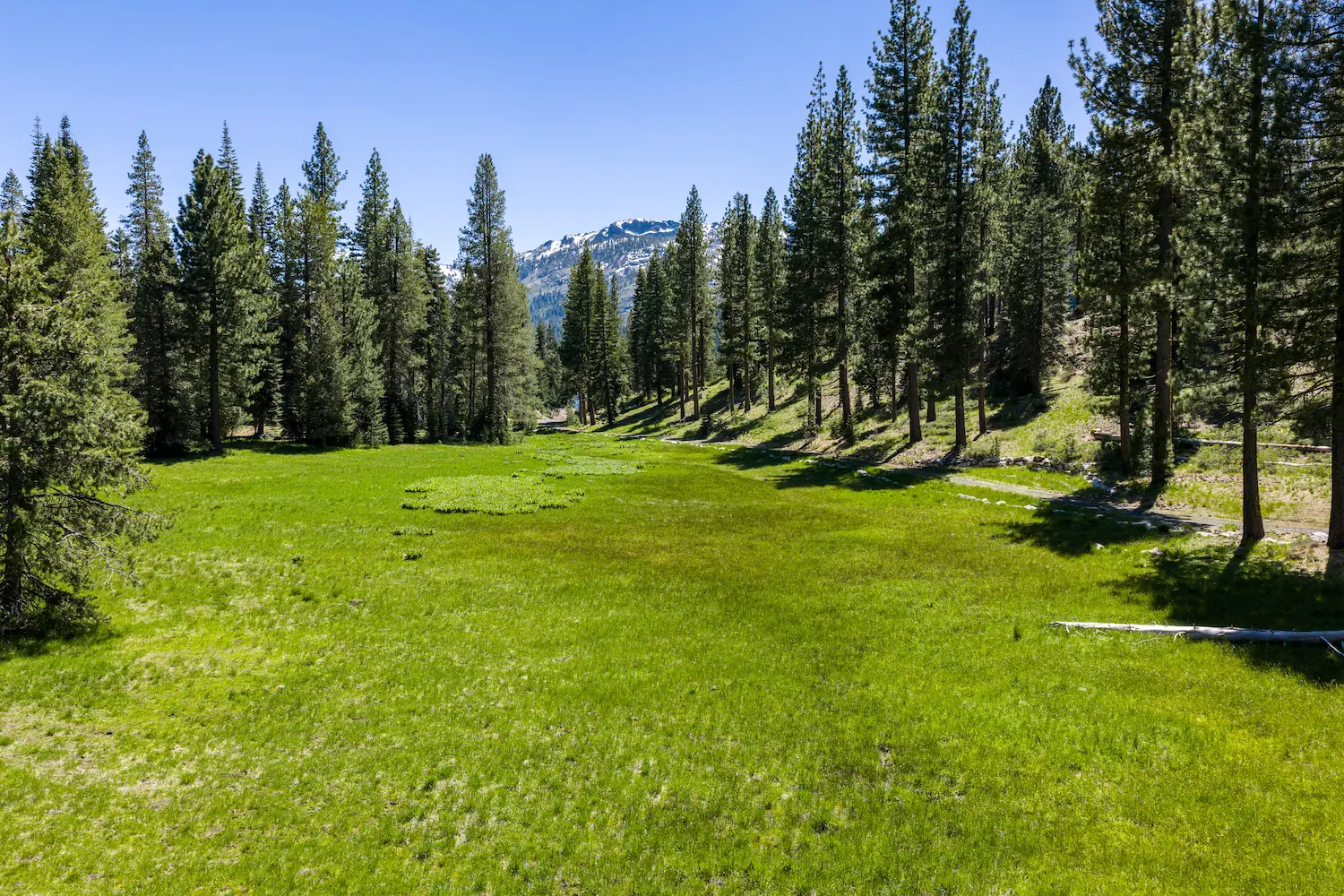Alpine meadow on the 110-acre Jackson Landing property, Sierra Nevada